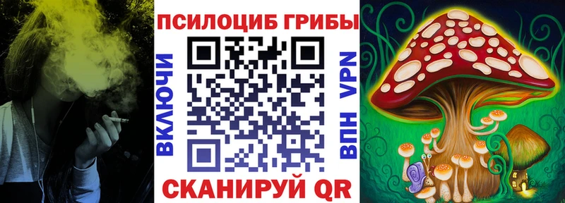 Галлюциногенные грибы Psilocybine cubensis  Заречный 